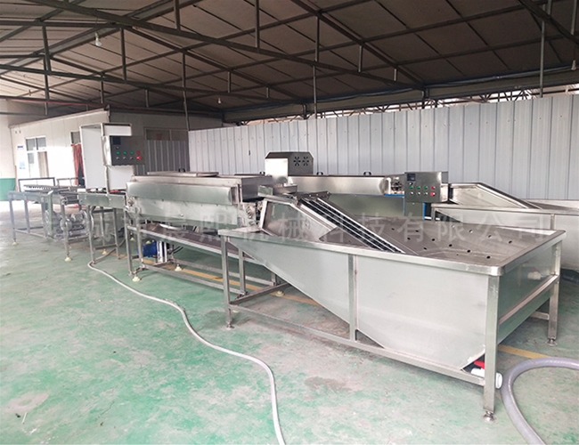 全自動鴨蛋清洗機(jī) 糞便蛋洗蛋機(jī)每小時(shí)5000-1萬枚